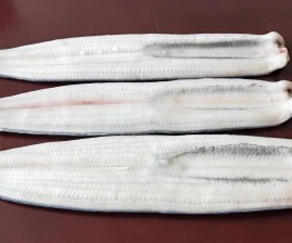 Frozen Raw Eel Fillets